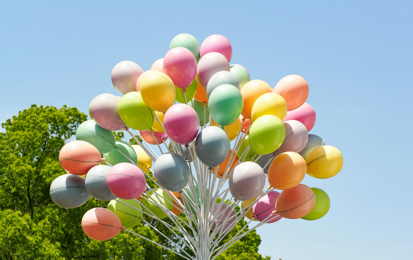 A large cluster of colorful balloons attached to white poles.