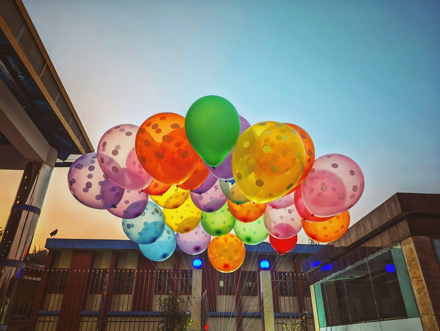 Colorful helium balloons float in front of modern city buildings.
